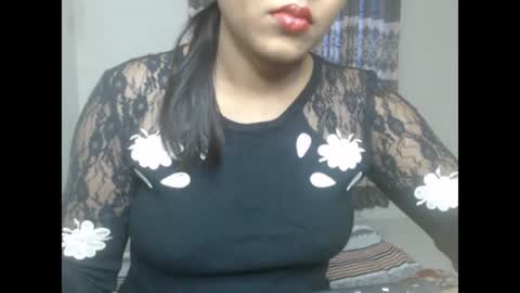 StarryWhispers online show from July 2026 11:46:02 AM
