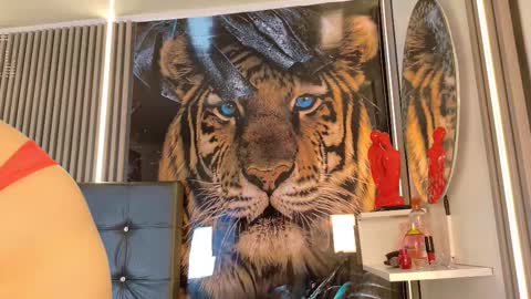 Snapshot of startevans chatting on March 2026 04:18:02 AM startevans online show from March 2026 04:18:02 AM