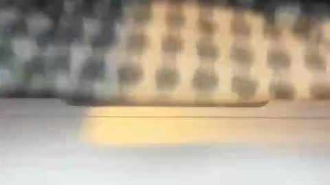 Snapshot of stcolster chatting on March 2026 12:13:01 PM stcolster online show from March 2026 12:13:01 PM