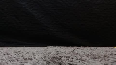 Stefany Brown online show from March 2026 11:26:02 AM