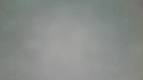 Snapshot of stefhr chatting on January 2025 12:29:01 PM stefhr online show from January 2025 12:29:01 PM