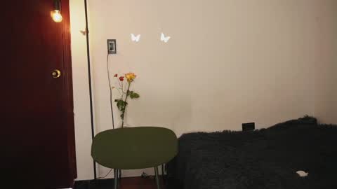 Stef online show from March 2025 06:30:01 PM