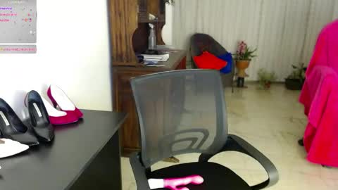 Estefany online show from May 2026 03:24:02 AM