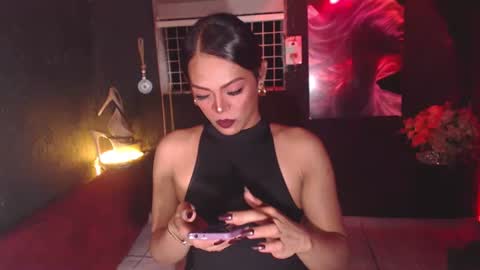 stella online show from November 2025 04:51:02 PM