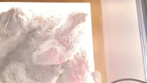 S T E L L A online show from February 2026 11:06:01 PM