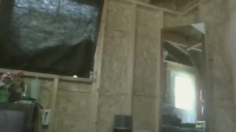 Stella online show from March 2026 07:25:01 PM