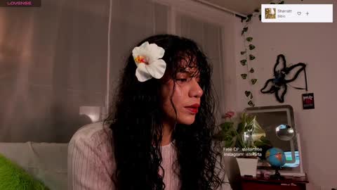 stellart_ online show from December 2024 03:11:02 AM