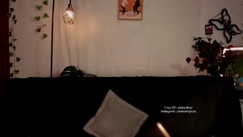 stellart_ online show from February 2025 02:29:02 AM