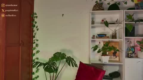 stellart_ online show from November 2025 10:14:01 PM