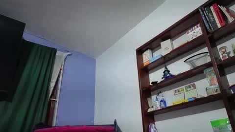 Snapshot of stephania_t chatting on February 2026 12:35:02 PM Stephania online show from February 2026 12:35:02 PM