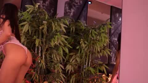 Snapshot of stephierouse chatting on January 2026 08:08:01 AM Steph online show from January 2026 08:08:01 AM