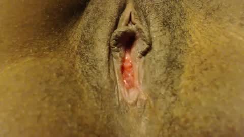 Snapshot of steppa20 chatting on October 2025 07:00:01 PM cate ma belle online show from October 2025 07:00:01 PM