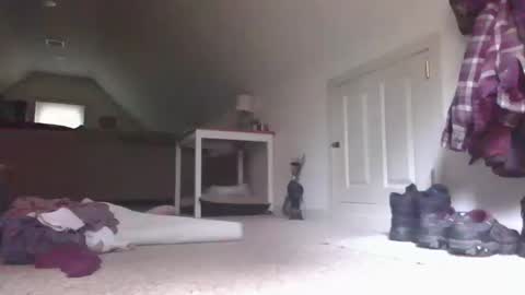 Snapshot of stevedevinrachel chatting on October 2025 05:57:01 PM steve online show from October 2025 05:57:01 PM