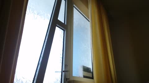 Steven online show from February 2025 01:39:02 PM