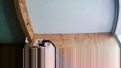 Snapshot of stevenbrookless chatting on October 2025 07:23:02 PM Steve online show from October 2025 07:23:02 PM