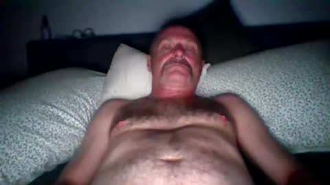 steviehard8 online show from July 2026 06:42:01 AM