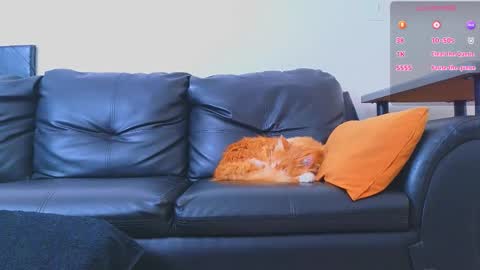 Snapshot of stiven_montiel chatting on January 2026 01:47:02 PM Stiven Montiel online show from January 2026 01:47:02 PM