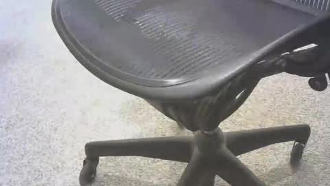 Snapshot of stlhammer68 chatting on November 2025 08:54:01 PM stl hammer online show from November 2025 08:54:01 PM