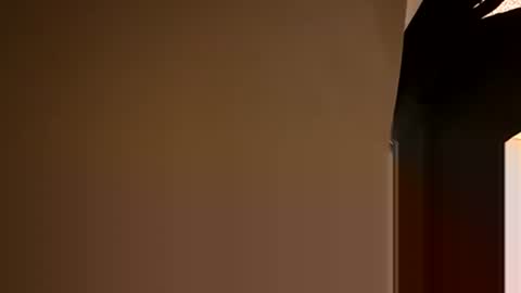 Snapshot of stokely571996 chatting on December 2024 08:55:01 PM Oval2022 online show from December 2024 08:55:01 PM