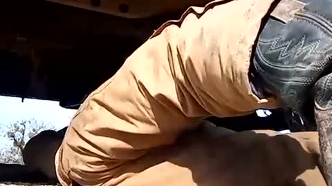 Snapshot of stokely571996 chatting on January 2025 06:16:02 PM Oval2022 online show from January 2025 06:16:02 PM