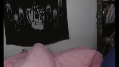 Snapshot of stoned2dabones666 chatting on December 2024 09:06:02 AM Haily online show from December 2024 09:06:02 AM