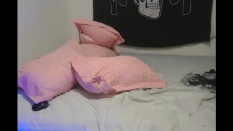 Snapshot of stoned2dabones666 chatting on December 2024 01:46:01 AM Haily online show from December 2024 01:46:01 AM