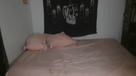 Snapshot of stoned2dabones666 chatting on March 2025 06:01:02 PM Haily online show from March 2025 06:01:02 PM