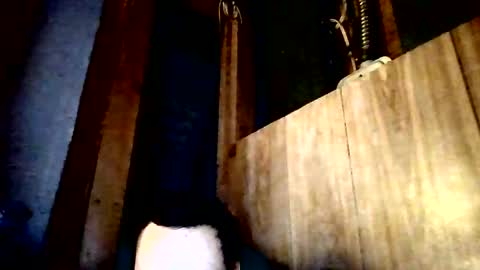 stonedstallion2019 online show from April 2026 07:33:02 PM