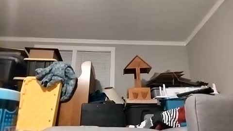 Snapshot of str33twyz3 chatting on October 2025 08:46:01 AM Streetwyze online show from October 2025 08:46:01 AM