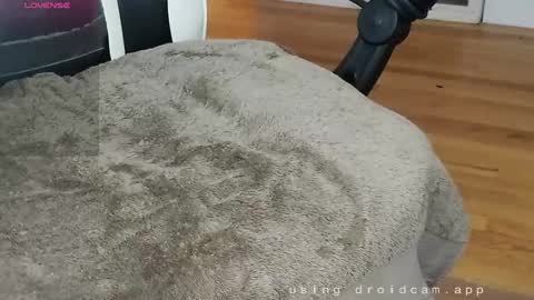 Snapshot of straighteight88 chatting on December 2024 06:31:01 AM straighteight88 online show from December 2024 06:31:01 AM