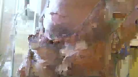 Snapshot of straightstroker81 chatting on December 2024 06:58:01 AM straightstroker81 online show from December 2024 06:58:01 AM