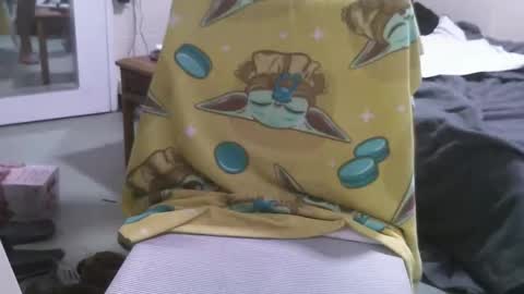 Snapshot of straightstroker81 chatting on February 2026 10:08:02 AM straightstroker81 online show from February 2026 10:08:02 AM