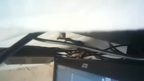 Snapshot of strangerdanger_2 chatting on January 2026 11:35:01 AM strangerdanger_2 online show from January 2026 11:35:01 AM