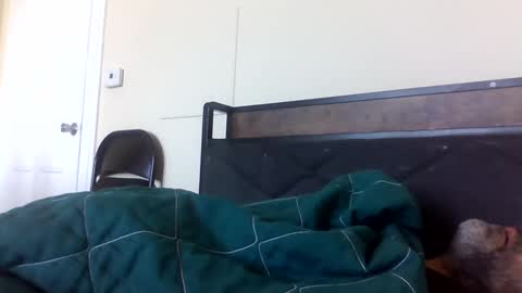 strictdaddy13 online show from February 2025 02:38:01 PM