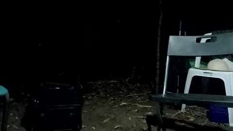 Snapshot of stroll0695 chatting on February 2025 01:06:01 PM Bigdickdugan online show from February 2025 01:06:01 PM