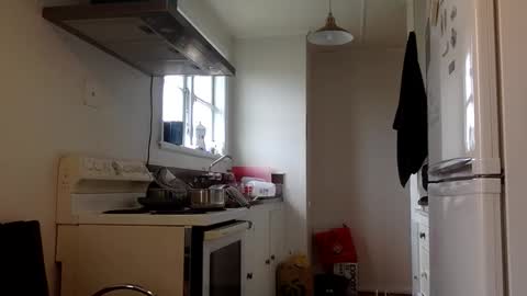 Snapshot of stugo1964 chatting on September 2025 03:43:01 AM stugo1964 online show from September 2025 03:43:01 AM