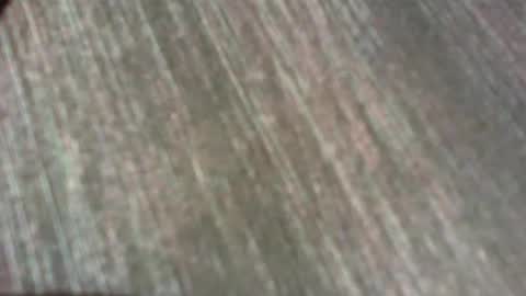 Snapshot of subnoass chatting on September 2025 01:02:01 PM subnoass online show from September 2025 01:02:01 PM