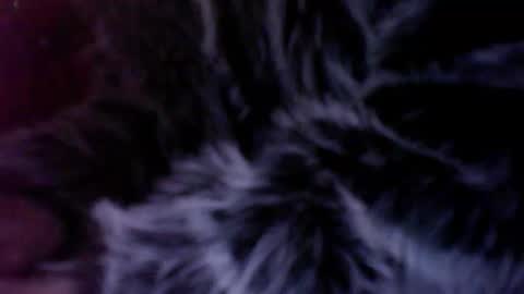subwoofersluttt online show from January 2026 08:20:01 AM
