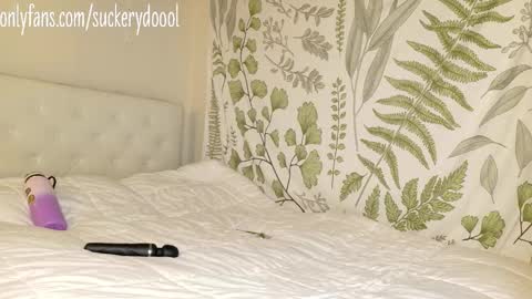 Maya online show from February 2026 03:05:02 AM