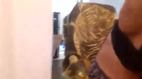 Cuteipie online show from December 2024 01:34:02 AM