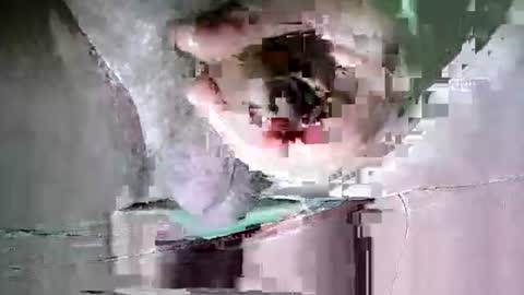 Martin sweetboy online show from October 2025 11:38:01 PM