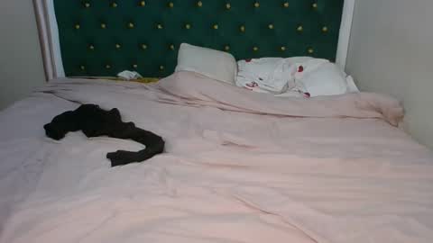 Snapshot of sugarboogers_ chatting on February 2026 02:50:02 AM sugarboogers_ online show from February 2026 02:50:02 AM