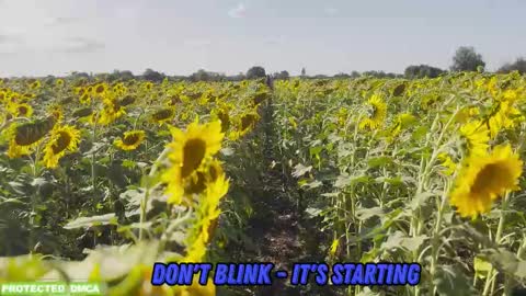 Snapshot of sunflower0907 chatting on February 2026 09:03:02 AM Tina. Im topless model online show from February 2026 09:03:02 AM