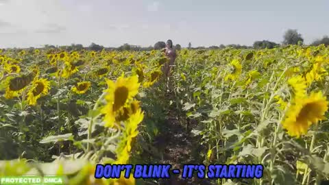 Snapshot of sunflower0907 chatting on February 2026 11:59:01 AM Tina. Im topless model online show from February 2026 11:59:01 AM