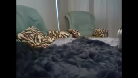 Snapshot of suni_bitch chatting on March 2025 05:08:01 AM suni online show from March 2025 05:08:01 AM