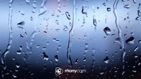 Snapshot of sunnybigboy88 chatting on January 2026 06:24:02 PM sven online show from January 2026 06:24:02 PM