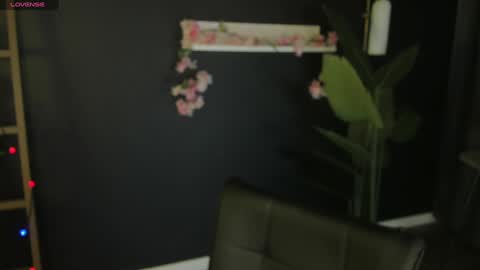 Risha online show from January 2025 12:35:01 PM