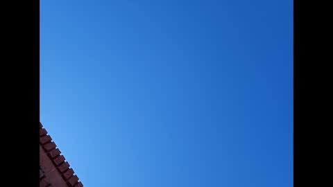 Snapshot of suntroll chatting on January 2025 07:13:02 PM Suntroll online show from January 2025 07:13:02 PM