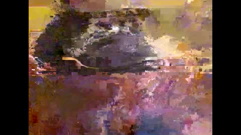 Snapshot of suntroll chatting on January 2025 08:54:01 AM Suntroll online show from January 2025 08:54:01 AM