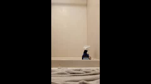 Snapshot of suthernswagga chatting on February 2026 10:57:02 PM suthernswagga online show from February 2026 10:57:02 PM